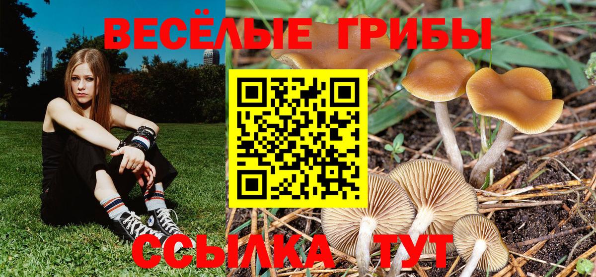 Галлюциногенные грибы ЛСД Камышин