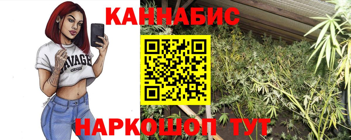 Бошки марихуана семена Камышин